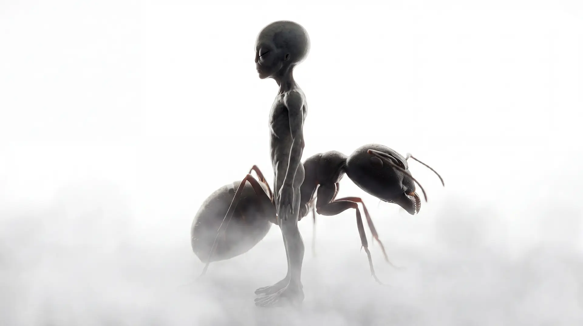 A Zephyrian observed sharing a cycle with an Earth ant colony
